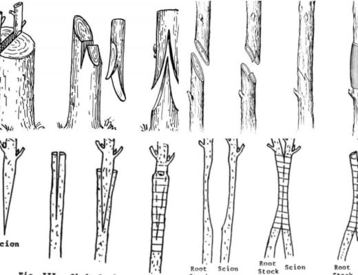 
      Foresight Ventures: 破碎的可组合性