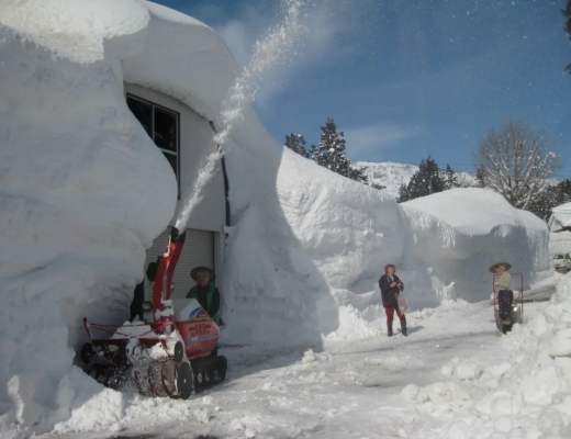 
      Nishikigoi：NFT 背后的乡村振兴之路