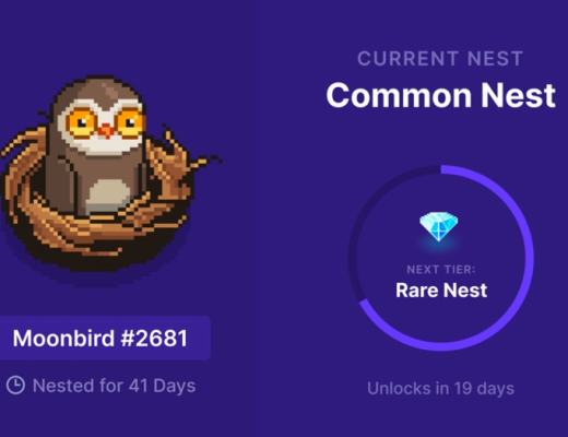 
      下一个NFT蓝筹？Moonbirds为何能以2.5 ETH高价公售