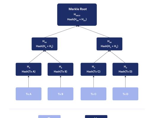
      一文读懂加密事实：信任最小化的计算和记录