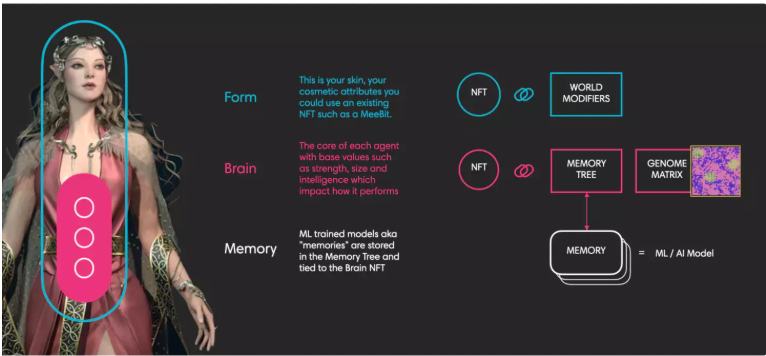 
      一文读懂ASM：NFT进化的新范式