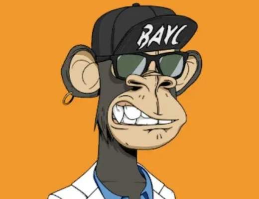 一文详解NFT最强玩家BAYC(无聊猿)
