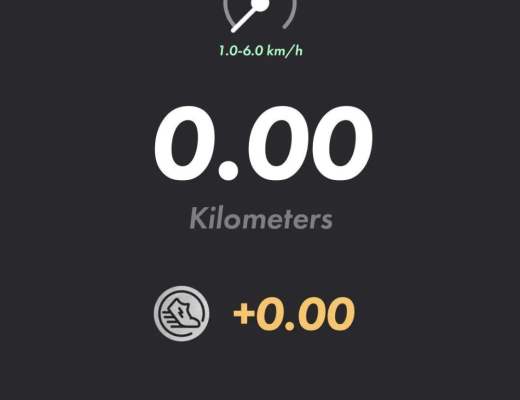 新手必备的「StepN」入门手册