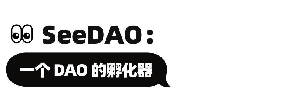 
      SeeDAO：一个 DAO 的孵化器