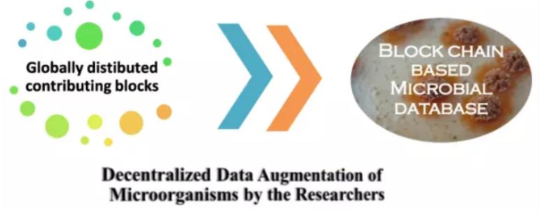 
      DeSci ——Web3新运动 科研和经费的革命