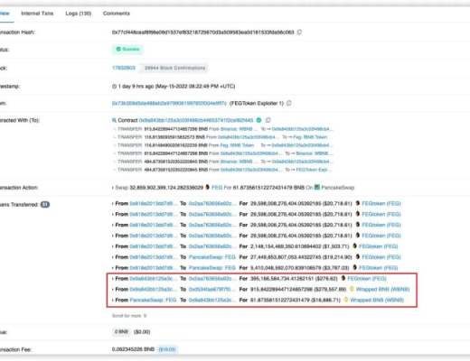 两天内遭遇两次攻击 DeFi 协议 FEG 真的伤不起