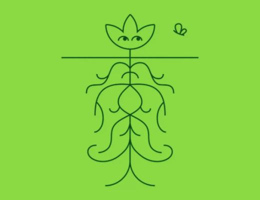 
      Aave 在 Polygon 上推出基于 NFT 的去中心化 Twitter Rival