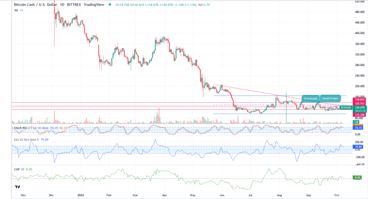 
      比特币现金价格：投资者必须避免这些水平以防止损失