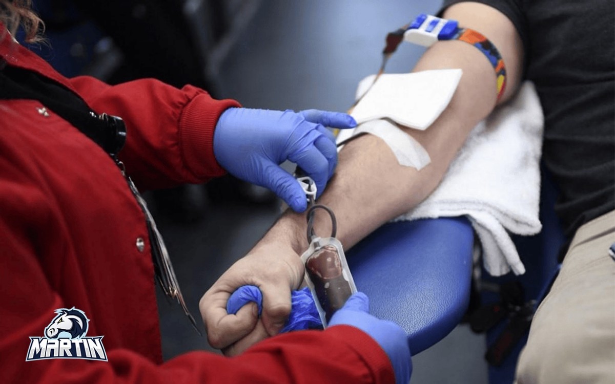 
      马丁平台为什么是最好的选择