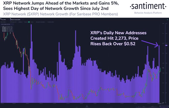 
      XRP 与其他加密货币脱钩,上涨 8%