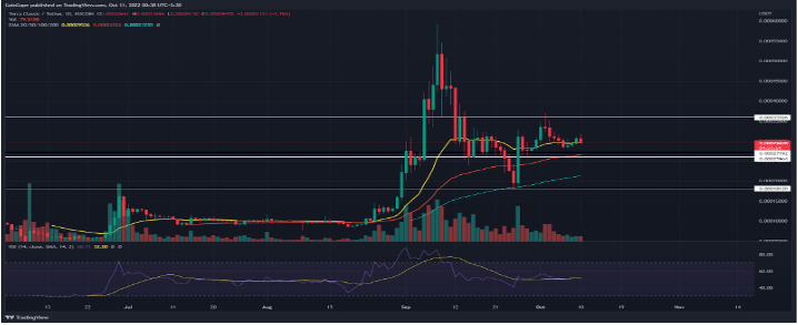 Terra经典缺口在过去24小时内飙升5% - LUNC能否保持积极势头?