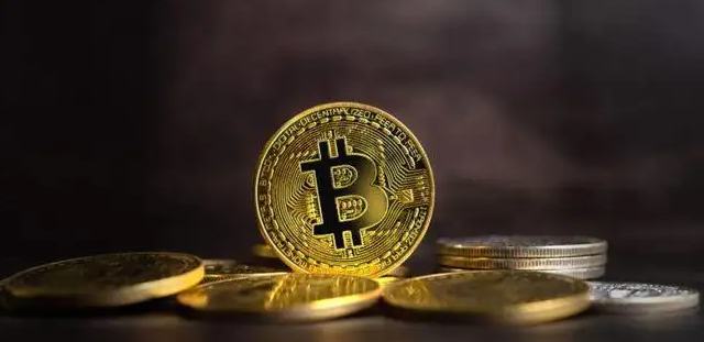 
      今年重挫60% 也不怕——方舟信心喊话：比特币将飙破100 万美元