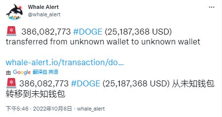 狗狗币价格预测——谷歌接受其云支付,DOGE 杀死零?