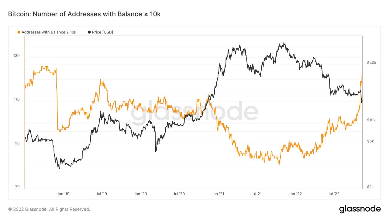 埃隆·马斯克说比特币“会成功”——本周关于比特币需要知道的5件事