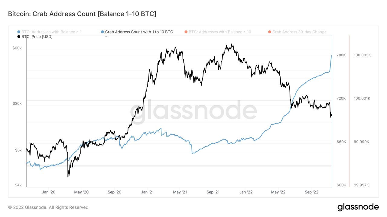 埃隆·马斯克说比特币“会成功”——本周关于比特币需要知道的5件事