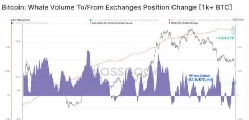 
      FTX暴雷后大量比特币从交易所流出 长期持有者的持有量明显下滑