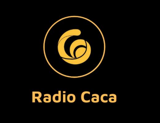 
      链游经济模型大揭秘