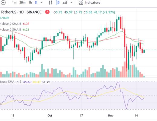 
      未来 48 小时内最值得关注的 5 种山寨币