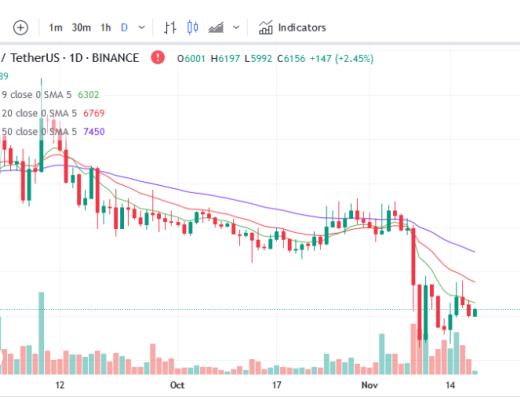 
      未来 48 小时内最值得关注的 5 种山寨币