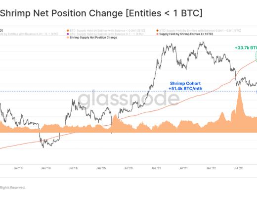 
      FTX崩盘给比特币带来的信念危机