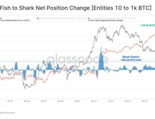 
      FTX崩盘给比特币带来的信念危机