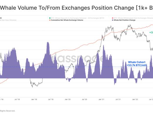 
      FTX崩盘给比特币带来的信念危机