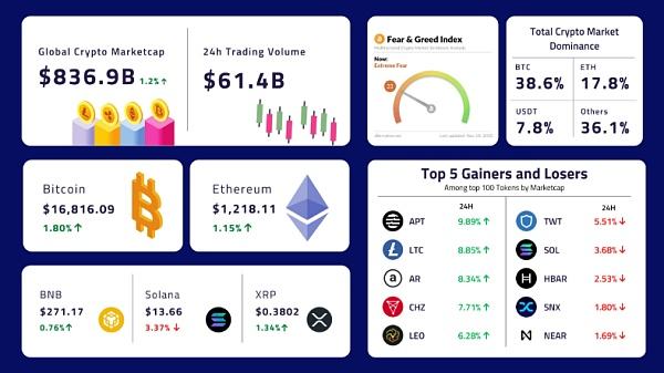 用鲶鱼效应的角度分析加密货币的反弹