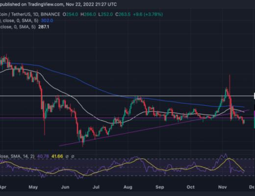 
      BNB失去 270 美元的支持  熊会更努力吗？