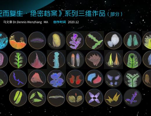 
      让植物也有数字资产并进入流通 繁星超越率先破局