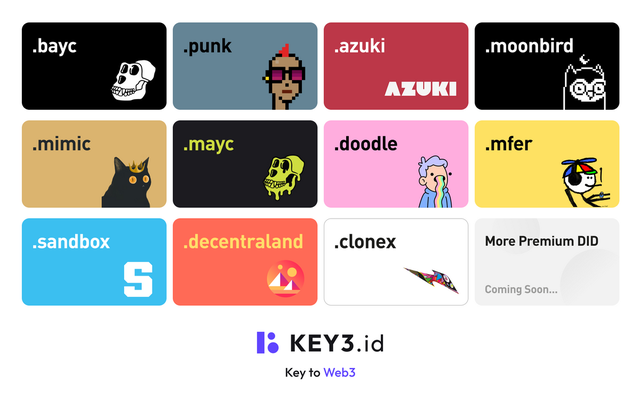 
      DID赛道杀出黑马,KEY3.id 推出.bayc域名或将改变整个行业格局