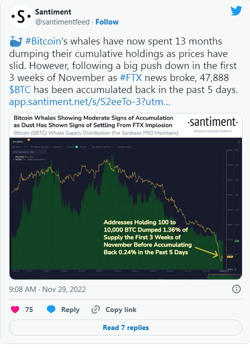 
      比特币新闻：鲸鱼再次购买