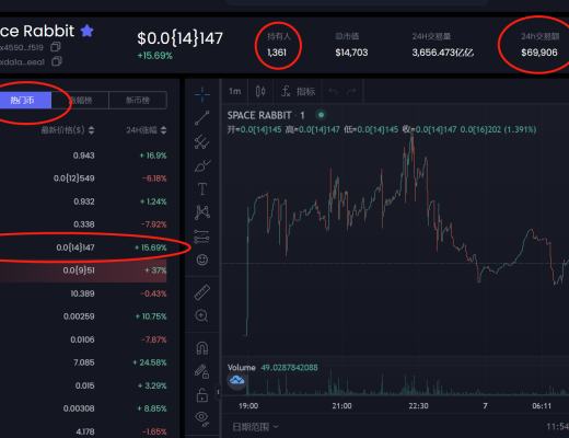 
      Space Rabbit太空兔 将会是一级市场的潜力黑马吗 ？