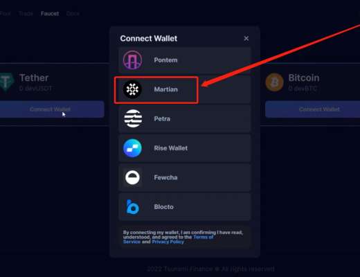 Tsunami Finance测试网交互教程