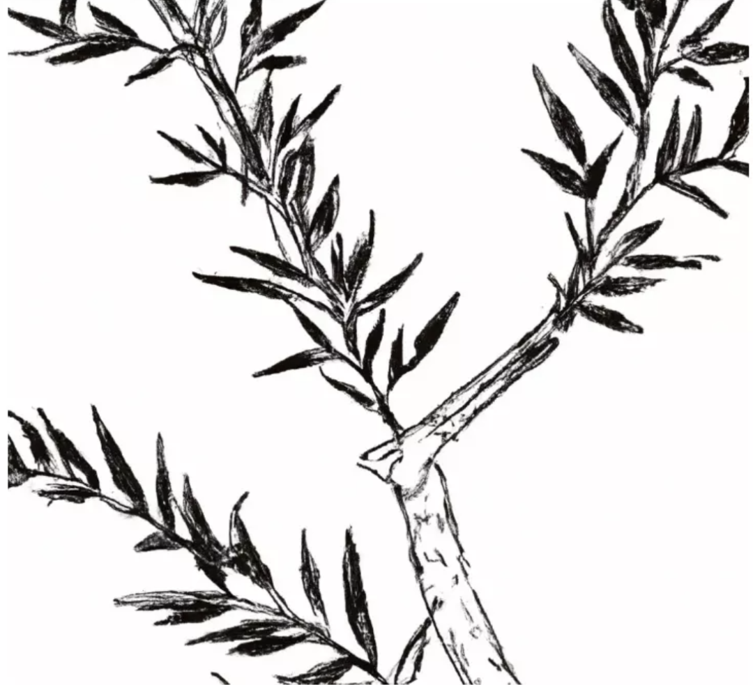 
      2023: 互联网DAO之年