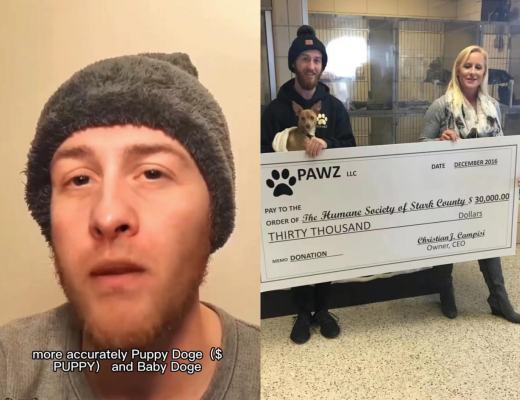 
      BABYDOGE CEO Christian Campisi 以个人名义发行一枚新的代币PUPPY