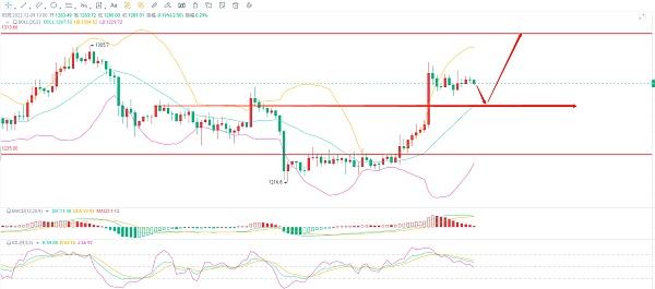 
      币马瘟：12.9行情走出突破能否冲刺上方高点