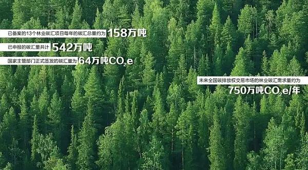 
      香港国际数据中心投资5600万美元将拓展碳汇业务