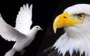 美国通胀大幅下降?可衰退却成为投资者2023年最担心的问题