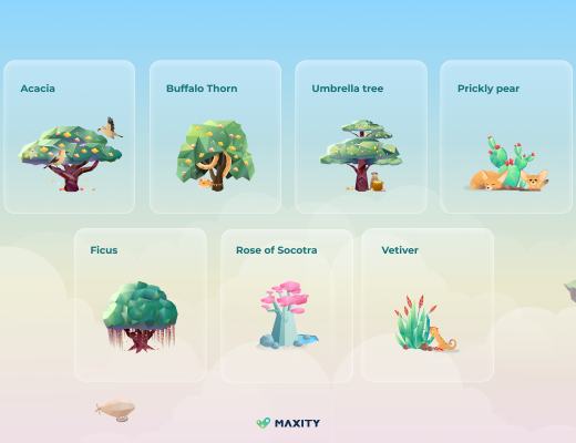 
      Max森林-Maxity首创Web3.0的蚂蚁森林怎么玩？