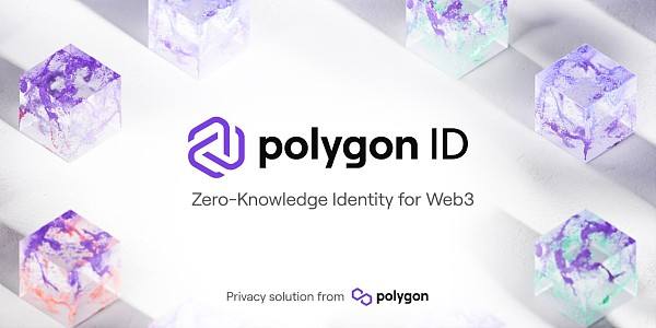 Polygon 生态2022:在主流世界里撕开一束光