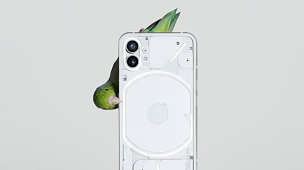 Polygon 生态2022:在主流世界里撕开一束光