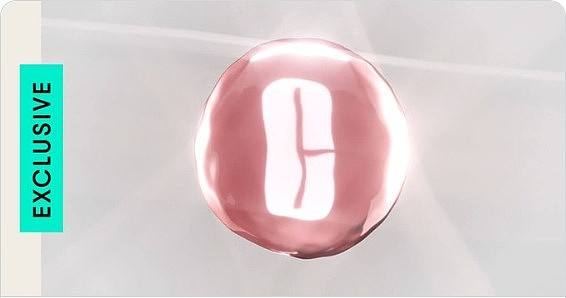 Polygon 生态2022:在主流世界里撕开一束光