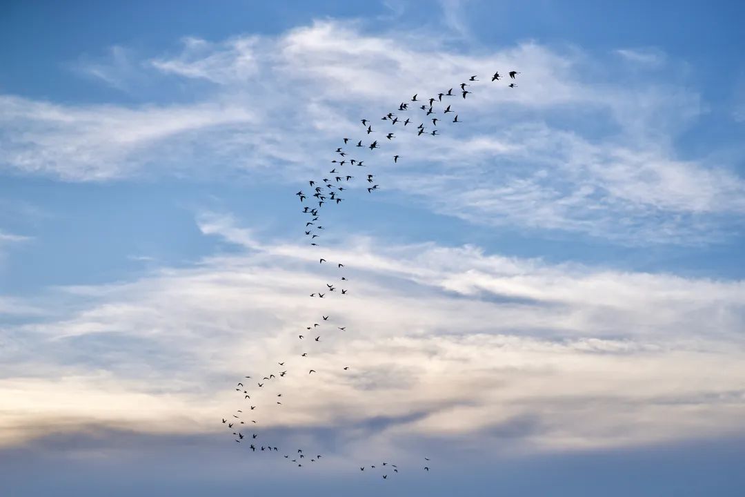 WWeb3 聚合平台 AIDAMETA 圣诞狂欢 BNB 大放送