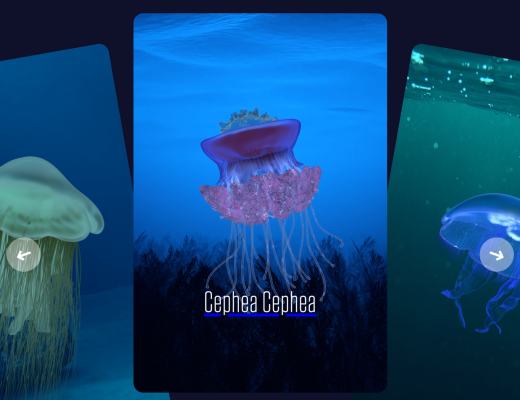 
      JZL Capital数字周报第52期 12/26/2022 交易量降至冰点 NFT圣诞反弹