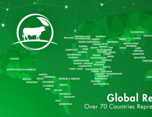 
      Dimitra 2022: 年度回顾