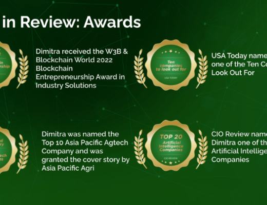 
      Dimitra 2022: 年度回顾