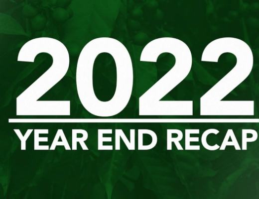 
      Dimitra 2022: 年度回顾