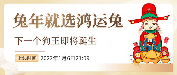 
      鸿运社区鸿运兔：超越DOGE的下一代MEME之王