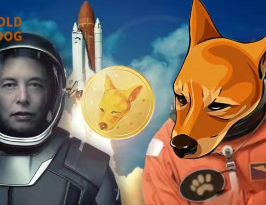 
      2023年1月10日 12:00（UTC-8）old dog 上线币安链博饼交易所