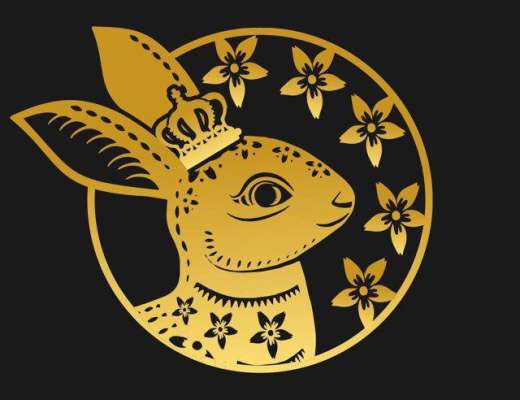 
      RabbitKing金兔王   给所有人一次重新选择自由的机会